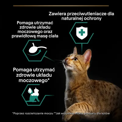 Zawiera przeciwutleniacze dla naturalnej ochrony. Pomaga utrzymać zdrowie układu moczowego oraz prawidłową masę ciała. Pomaga utrzymać zdrowie układu moczowego*