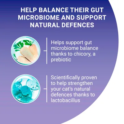 Helps support gut microbiome balance with chicory prebiotic. Scientifically proven to strengthen your cat’s natural defences with lactobacillus.