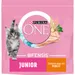 PURINA ONE Junior 1-12 miesięcy kurczak dla kociąt