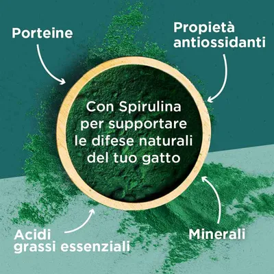 Con Spirulina per supportare le difese naturali del tuo gatto. Porteine, proprietà antiossidanti, acidi grassi essenziali, minerali.