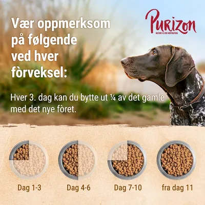 Purizon Black Angus med kalkun Adult - kornfri