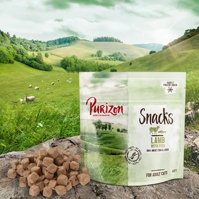 Purizon Snacks Lamb with Fish, 100% meat, fish & liver, gently freeze-dried, for adult cats, 40g pack shown with treats beside it. Visible text: Nature is our inspiration.