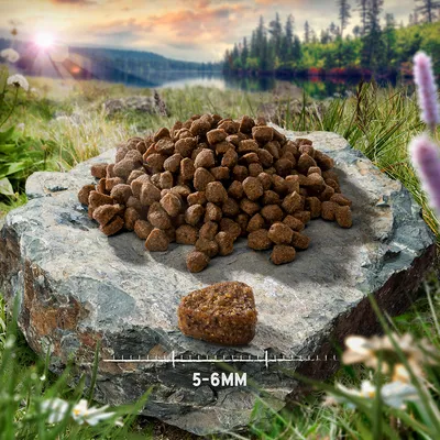 Brown kibble pieces displayed on a rock with one piece shown separately in front of a size scale indicating 5-6mm.