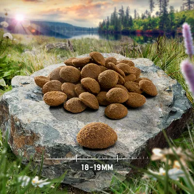 Brown kibbles on a stone, size 18-19 mm according to measurement.