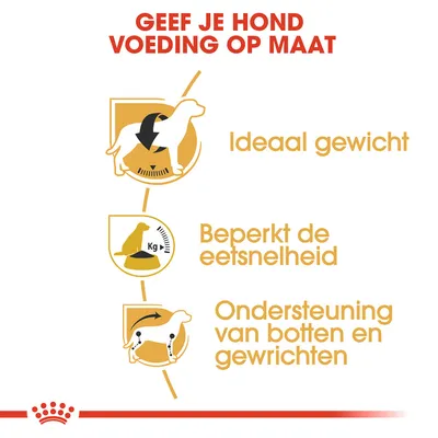 Geef je hond voeding op maat: ideaal gewicht, beperkt de eetsnelheid, ondersteuning van botten en gewrichten. Tekst en pictogrammen in het Nederlands.