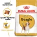 Royal Canin Beagle Adult - Hondenvoer
