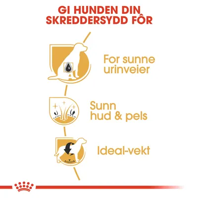 Royal Canin Bichon Frise Adult