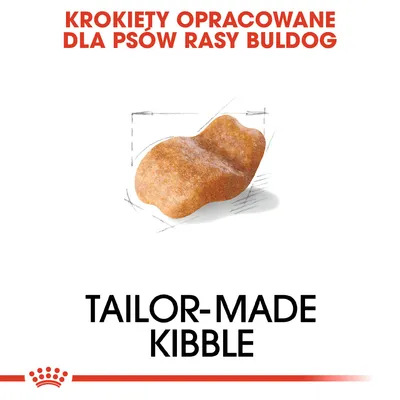Krokiety opracowane dla psów rasy buldog. Tailor-made kibble. Zdjęcie pojedynczego krokieta na białym tle.