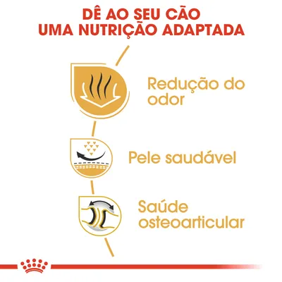 Dê ao seu cão uma nutrição adaptada: redução do odor, pele saudável, saúde osteoarticular. Texto promocional com três ícones ilustrativos.