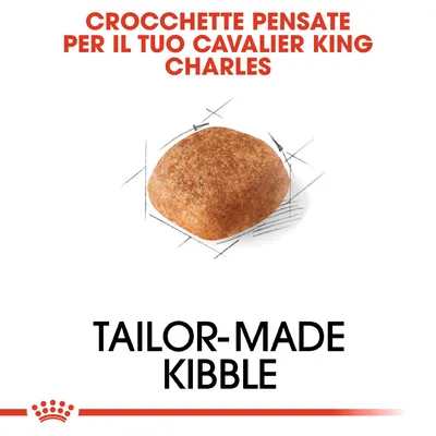 CROCCHETTE PENSATE PER IL TUO CAVALIER KING CHARLES. TAILOR-MADE KIBBLE. Immagine di una crocchetta singola.