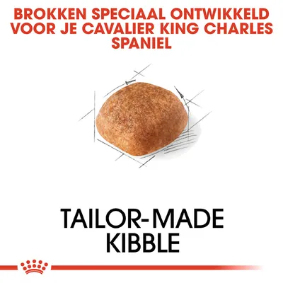 Brokken speciaal ontwikkeld voor je Cavalier King Charles Spaniel. Tailor-made kibble. Afbeelding van een enkele brok hondenvoer.