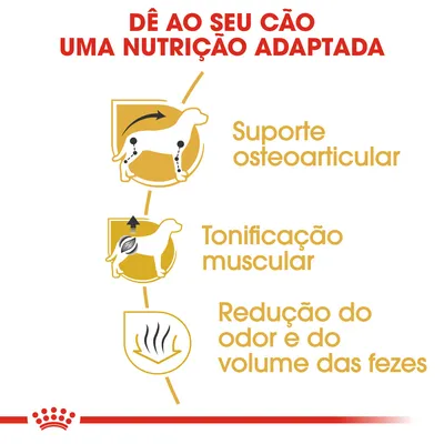 Dê ao seu cão uma nutrição adaptada: suporte osteoarticular, tonificação muscular, redução do odor e do volume das fezes. Texto e ícones ilustrativos visíveis.