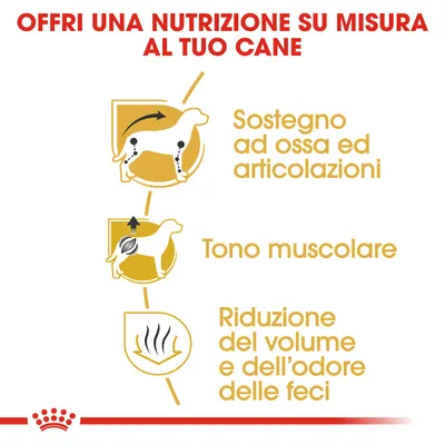 Offri una nutrizione su misura al tuo cane. Sostegno ad ossa ed articolazioni, tono muscolare, riduzione del volume e dell’odore delle feci.