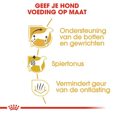 Voedingsvoordelen voor honden: ondersteuning van botten en gewrichten, spiertonus, vermindert geur van de ontlasting. Tekst: 'Geef je hond voeding op maat'.