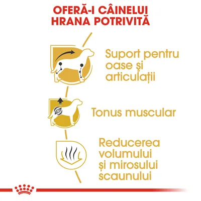 OFERĂ-I CÂINELUI HRANA POTRIVITĂ. Suport pentru oase și articulații, tonus muscular, reducerea volumului și mirosului scaunului.