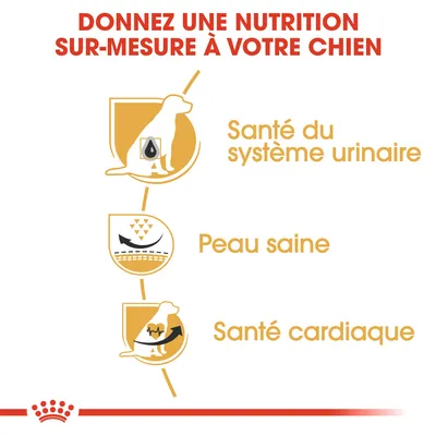 Donnez une nutrition sur-mesure à votre chien. Santé du système urinaire, peau saine, santé cardiaque.