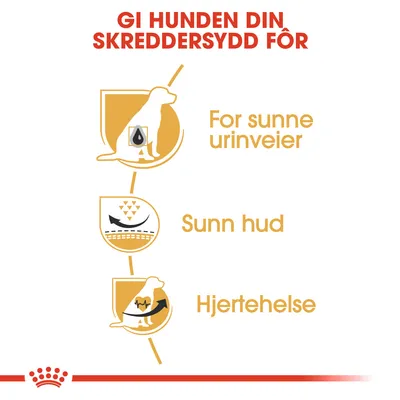 Royal Canin Dalmatian Adult