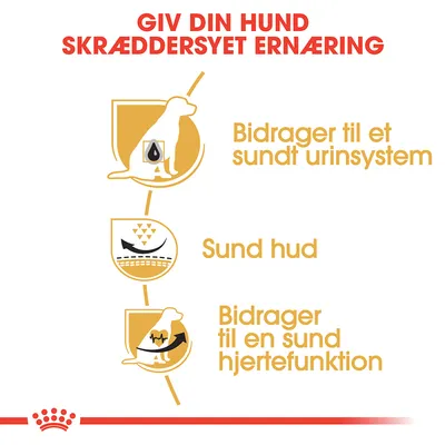 Giv din hund skræddersyet ernæring. Bidrager til et sundt urinsystem, sund hud og bidrager til en sund hjertefunktion.