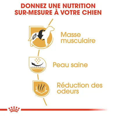 Donnez une nutrition sur-mesure à votre chien : masse musculaire, peau saine, réduction des odeurs. Texte en français belge.