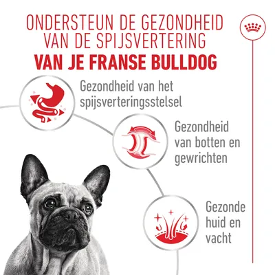 Royal Canin Franse Bulldog Loaf