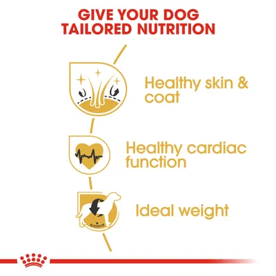 Κείμενο στα αγγλικά: Give your dog tailored nutrition. Healthy skin & coat, healthy cardiac function, ideal weight.