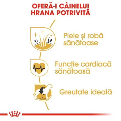 OFERĂ-I CÂINELUI HRANA POTRIVITĂ. Piele și robă sănătoase, funcție cardiacă sănătoasă, greutate ideală. Text și pictograme evidențiind beneficiile pentru câini.
