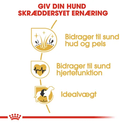 Giv din hund skræddersyet ernæring. Bidrager til sund hud og pels, bidrager til sund hjertefunktion, idealvægt.