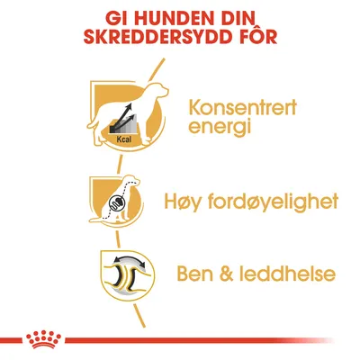 Royal Canin Great Dane Adult