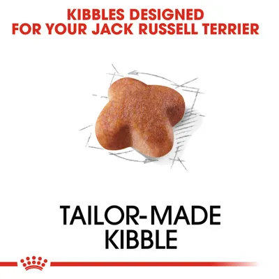 KIBBLES DESIGNED FOR YOUR JACK RUSSELL TERRIER, TAILOR-MADE KIBBLE. Teksti englanniksi, kuvassa yksittäinen nappula.