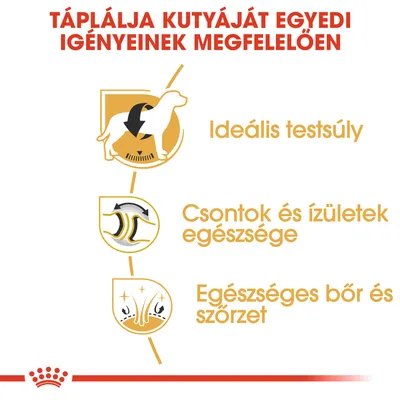 Táplálja kutyáját egyedi igényeinek megfelelően: ideális testsúly, csontok és ízületek egészsége, egészséges bőr és szőrzet.