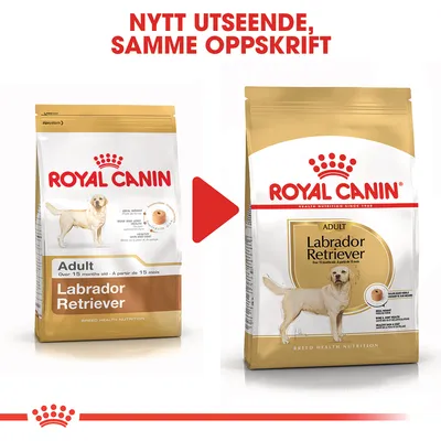 Royal Canin Labrador Retriever Adult