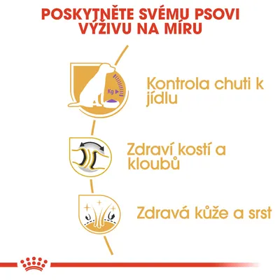 Poskytněte svému psovi výživu na míru: kontrola chuti k jídlu, zdraví kostí a kloubů, zdravá kůže a srst.