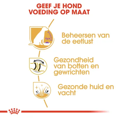Geef je hond voeding op maat. Beheersen van de eetlust. Gezondheid van botten en gewrichten. Gezonde huid en vacht.