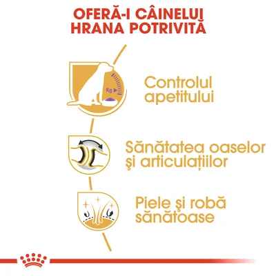 OFERĂ-I CÂINELUI HRANA POTRIVITĂ. Controlul apetitului. Sănătatea oaselor și articulațiilor. Piele și robă sănătoase.
