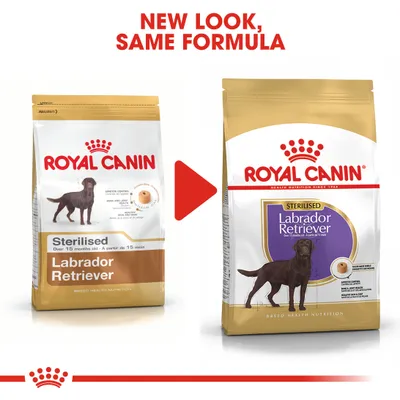 Royal Canin Sterilised Labrador Retriever -koiranruokapakkausten ulkoasun muutos, sama koostumus. Vasemmalla vanha pakkaus, oikealla uusi pakkaus, molemmissa näkyy tuotteen nimi ja koira.
