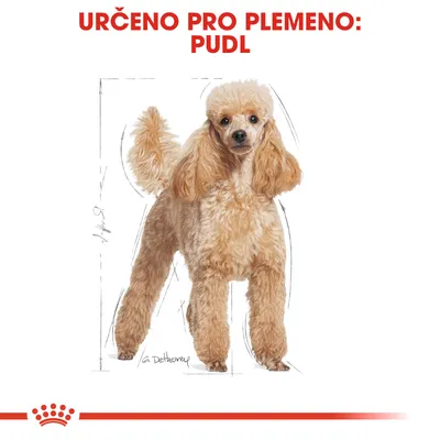 Text: URČENO PRO PLEMENO: PUDL. Ilustrace pudla s náčrtem postavy a výškou 54 cm.
