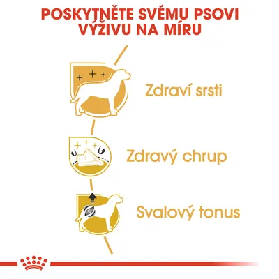 Poskytněte svému psovi výživu na míru. Zdraví srsti, zdravý chrup, svalový tonus – tři ikony psa s texty zvýrazňujícími benefity.