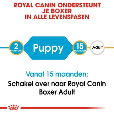 Royal Canin ondersteunt je Boxer in alle levensfasen. Puppy: 2–15 maanden. Vanaf 15 maanden: schakel over naar Royal Canin Boxer Adult.