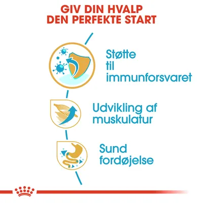 GIV DIN HVALP DEN PERFEKTE START. Støtte til immunforsvaret, udvikling af muskulatur, sund fordøjelse.