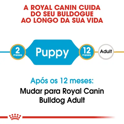 A Royal Canin cuida do seu buldogue ao longo da sua vida. Puppy dos 2 aos 12 meses. Após os 12 meses: mudar para Royal Canin Bulldog Adult.