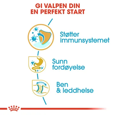 Royal Canin Bulldog Puppy