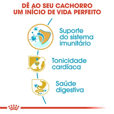 Dê ao seu cachorro um início de vida perfeito: suporte do sistema imunitário, tonicidade cardíaca, saúde digestiva.