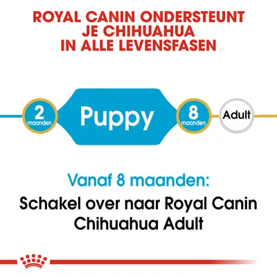 Royal Canin ondersteunt je Chihuahua in alle levensfasen. Puppy: 2–8 maanden. Vanaf 8 maanden: schakel over naar Royal Canin Chihuahua Adult.
