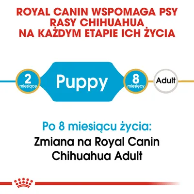 Royal Canin wspomaga psy rasy Chihuahua na każdym etapie życia. Puppy 2–8 miesięcy, po 8 miesiącu zmiana na Royal Canin Chihuahua Adult.