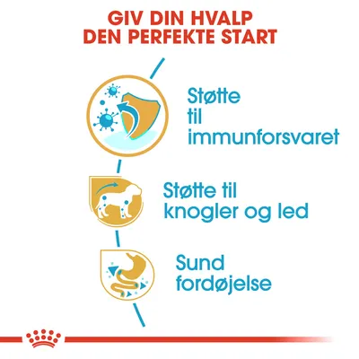 GIV DIN HVALP DEN PERFEKTE START. Støtte til immunforsvaret, støtte til knogler og led, sund fordøjelse.