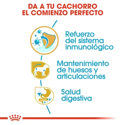 Da a tu cachorro el comienzo perfecto: refuerzo del sistema inmunológico, mantenimiento de huesos y articulaciones, salud digestiva.