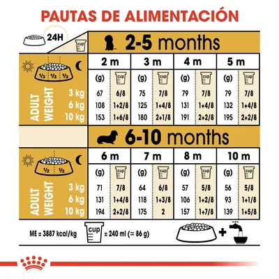 Tabla de pautas de alimentación para cachorros según edad (2–10 meses) y peso adulto (3, 6, 10 kg), con cantidades diarias en gramos y tazas. Incluye equivalencia: 1 taza = 240 ml ≈ 86 g.