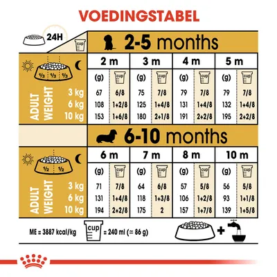 Voedingstabel voor honden: dagelijkse hoeveelheid voer in grammen en cups per leeftijd (2–10 maanden) en volwassen gewicht (3, 6, 10 kg). 1 cup = 240 ml (≈86 g), ME = 3887 kcal/kg.