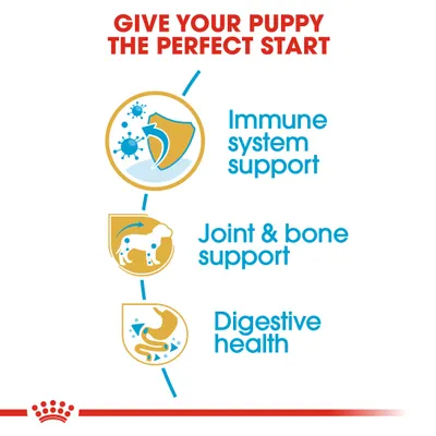 GIVE YOUR PUPPY THE PERFECT START. Immune system support, Joint & bone support, Digestive health (κείμενο στα αγγλικά). Εικονίδια ασπίδας, σκύλου και στομάχου.