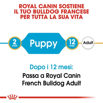 Royal Canin sostiene il Bulldog Francese per tutta la vita. Da 2 a 12 mesi Puppy, dopo i 12 mesi passa a Royal Canin French Bulldog Adult.